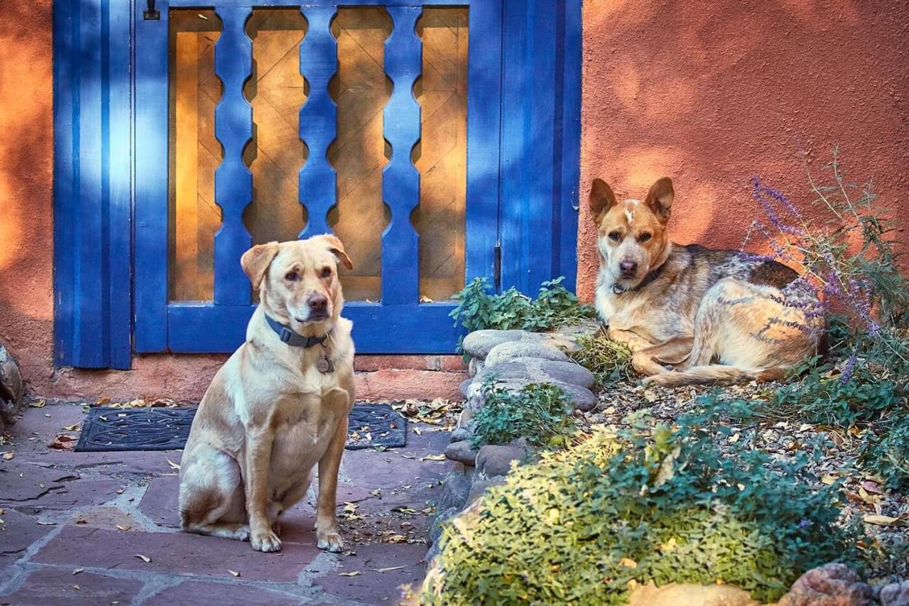 Adobe And Pines Inn Bed And Breakfast Ranchos de Taos Extérieur photo